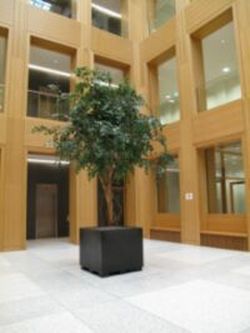 Atrium Atrium